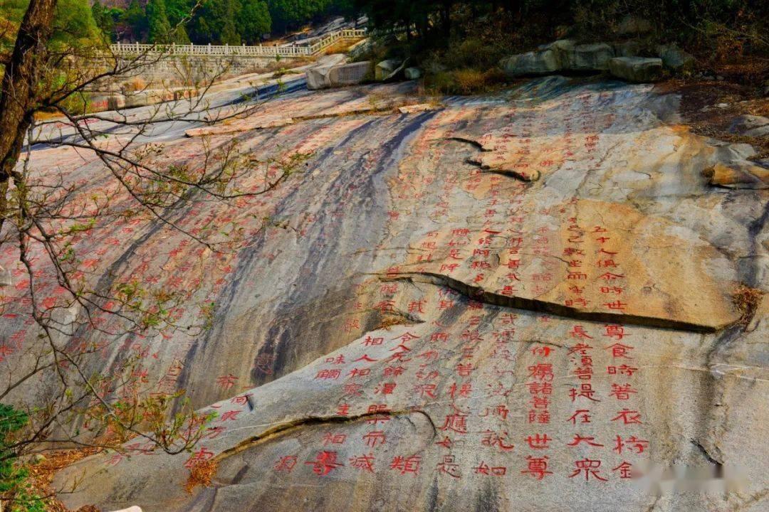 拯救昆虫群